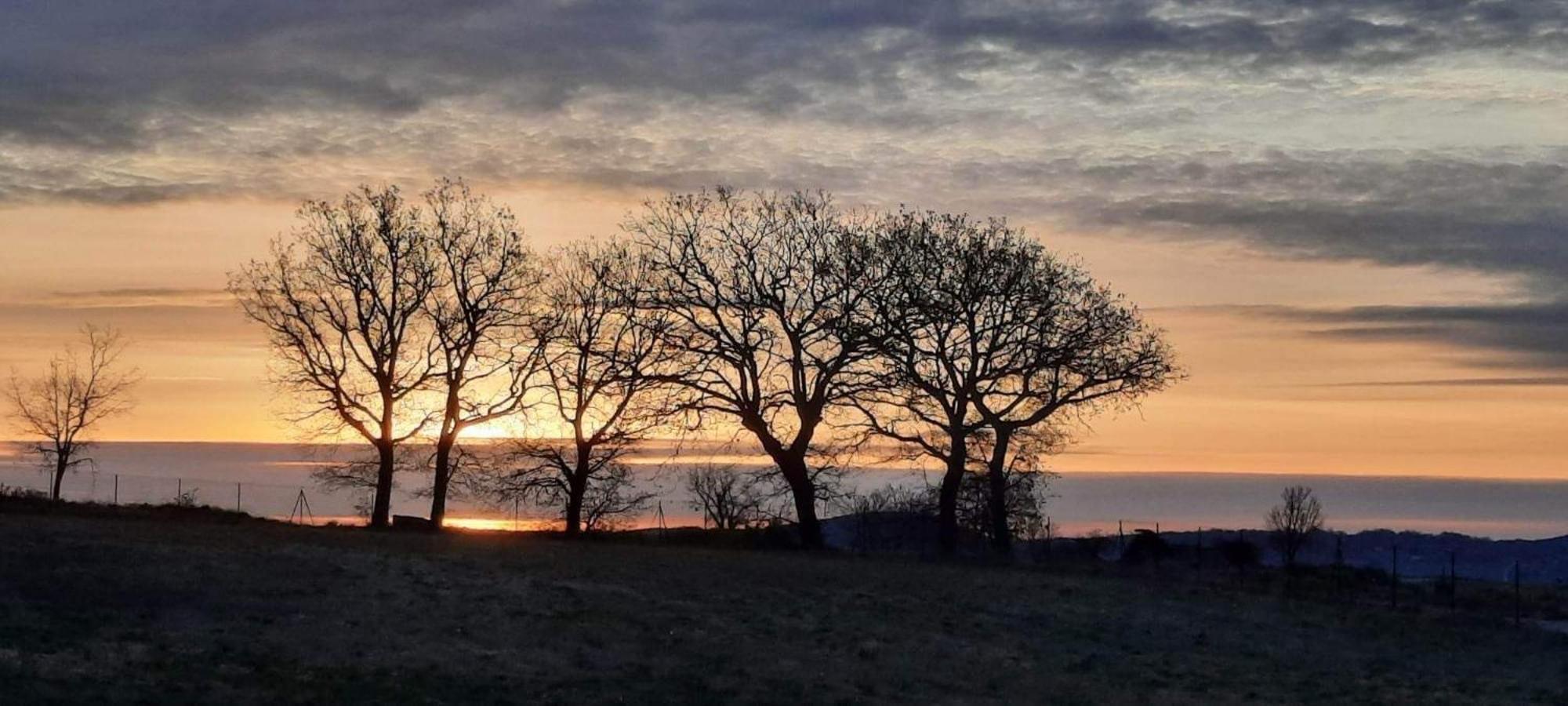 L'Arbre Qui Chante Saint-Etienne-de-Sermantin Εξωτερικό φωτογραφία